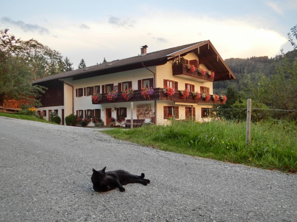 Ferienwohnung Weberhof Samerberg Exterior foto