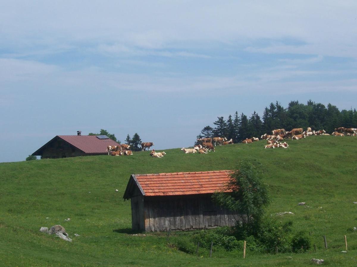 Ferienwohnung Weberhof Samerberg Exterior foto